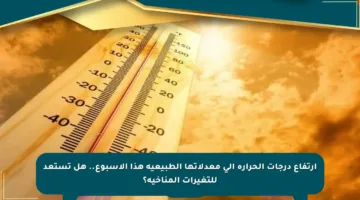 ارتفاع درجات الحرارة إلى معدلاتها الطبيعية هذا الأسبوع.. هل تستعد للتغيرات المناخية؟